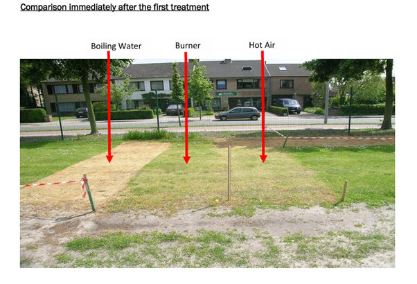 Test area immediately after treatment.