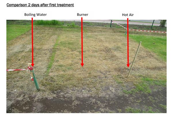 test area two days after treatment